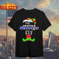 The Seattle Seahawks Elf Christmas 2025 - Adult & Kids T-Shirts, Sweatshirts & Hoodies apparel design preview 1