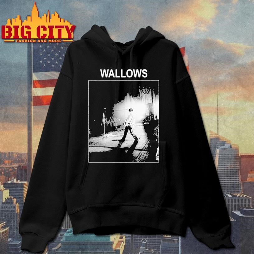 Wallows Dylan Photo - Adult & Kids T-Shirts, Sweatshirts & Hoodies apparel design preview 2