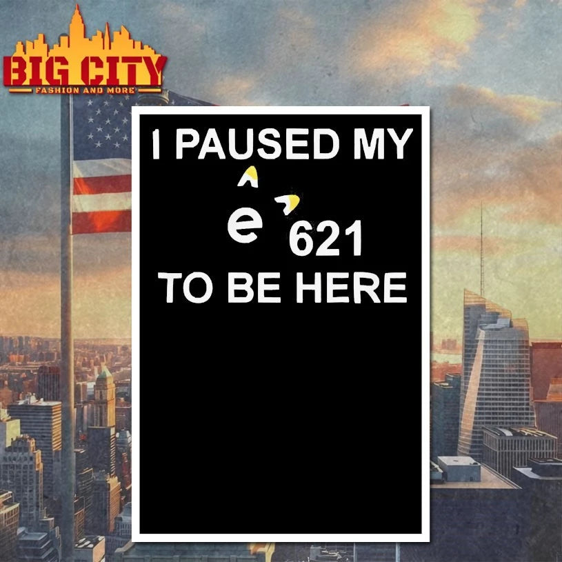 I Paused My E621 To Be Here - Adult & Kids T-Shirts, Sweatshirts & Hoodies apparel design preview 4