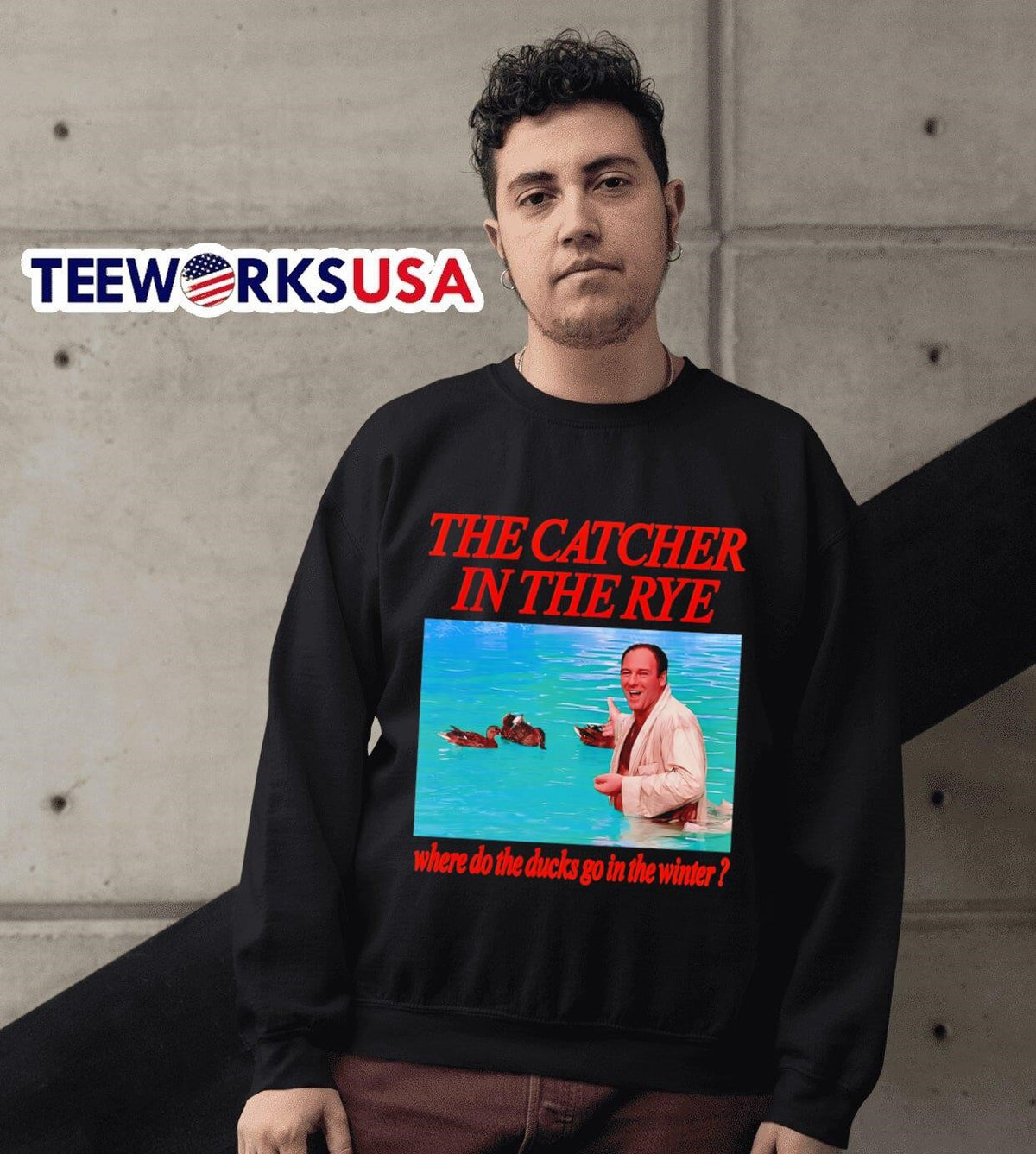 The catcher in rye where do ducks go winter - Adult & Kids T-Shirts, Sweatshirts & Hoodies apparel design preview 3