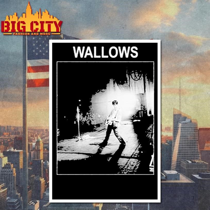 Wallows Dylan Photo - Adult & Kids T-Shirts, Sweatshirts & Hoodies apparel design preview 4
