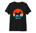 Akita Inu Sunset Dog Mom Dad Owner T-Shirt - Novelty Apparel for Adults - T-Shirt, Sweatshirt, Hoodie