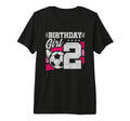 2 Year Old Soccer Birthday 2Nd T-Shirt - Custom Art Print for Adults - T-Shirt, Sweatshirt, Hoodie