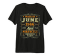 60 Years Old Made June 1966 60Th T-Shirt - Custom Art Print for Adults - T-Shirt, Sweatshirt, Hoodie