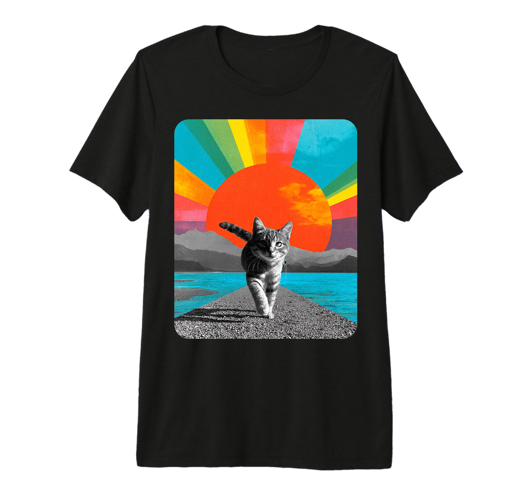 Meme Cat Dad Mens Tri Blend T-Shirt - Fun Novelty Design for Adults - T-Shirt, Sweatshirt, Hoodie