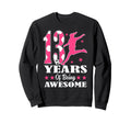 13 Years Being Awesome Birthday Sweatshirt - Fun Novelty Design Unisex - T-Shirt, Sweatshirt, Hoodie