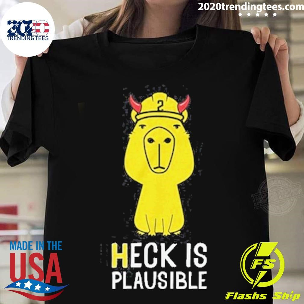 Awesome Heck Is Plausible 2023 - Adult & Kids T-Shirts, Sweatshirts & Hoodies apparel design preview 1