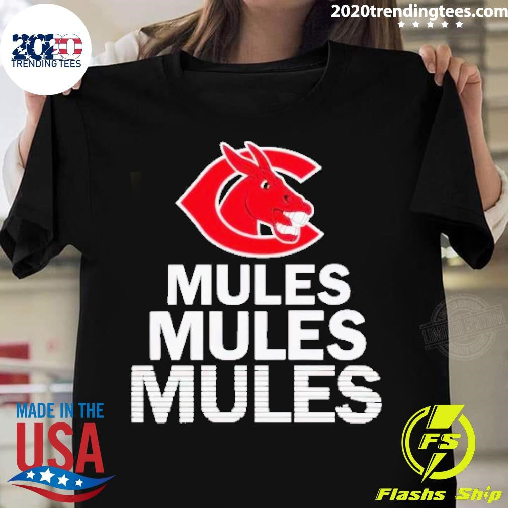 Best Unicorn Mules Stacked - Adult & Kids T-Shirts, Sweatshirts & Hoodies apparel design preview 1