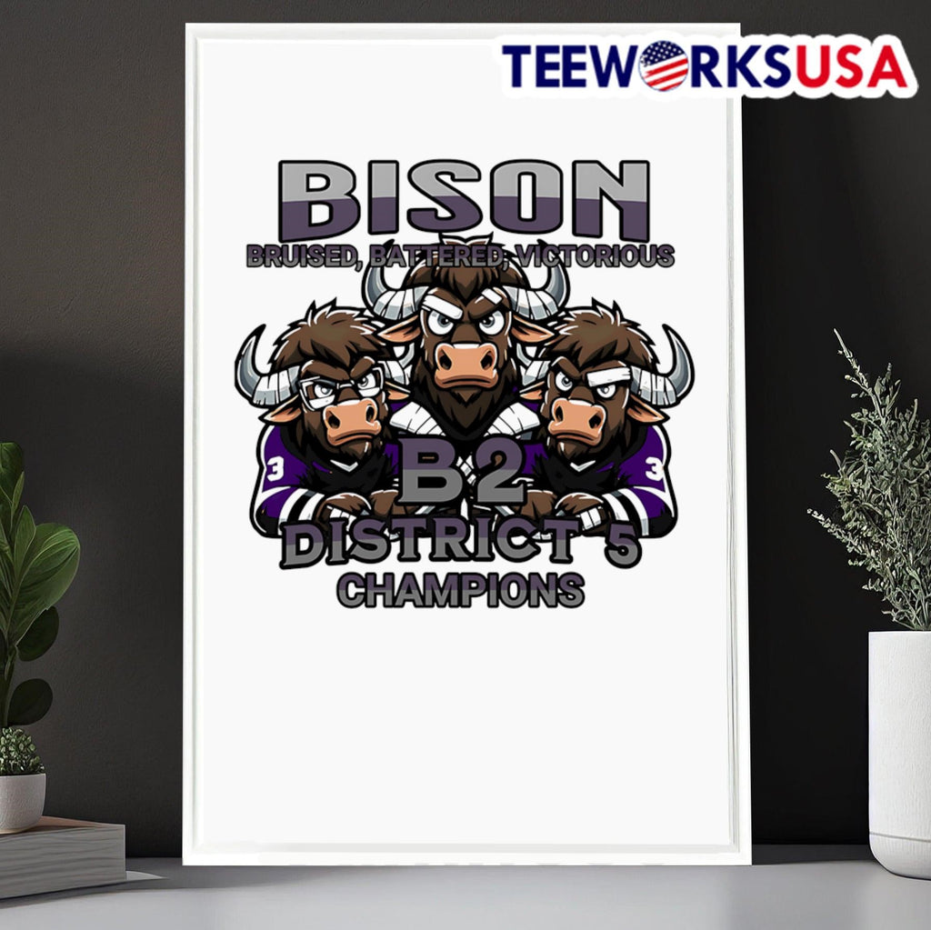 Bison B2 District 5 Champions - Adult & Kids T-Shirts, Sweatshirts & Hoodies apparel design preview 6
