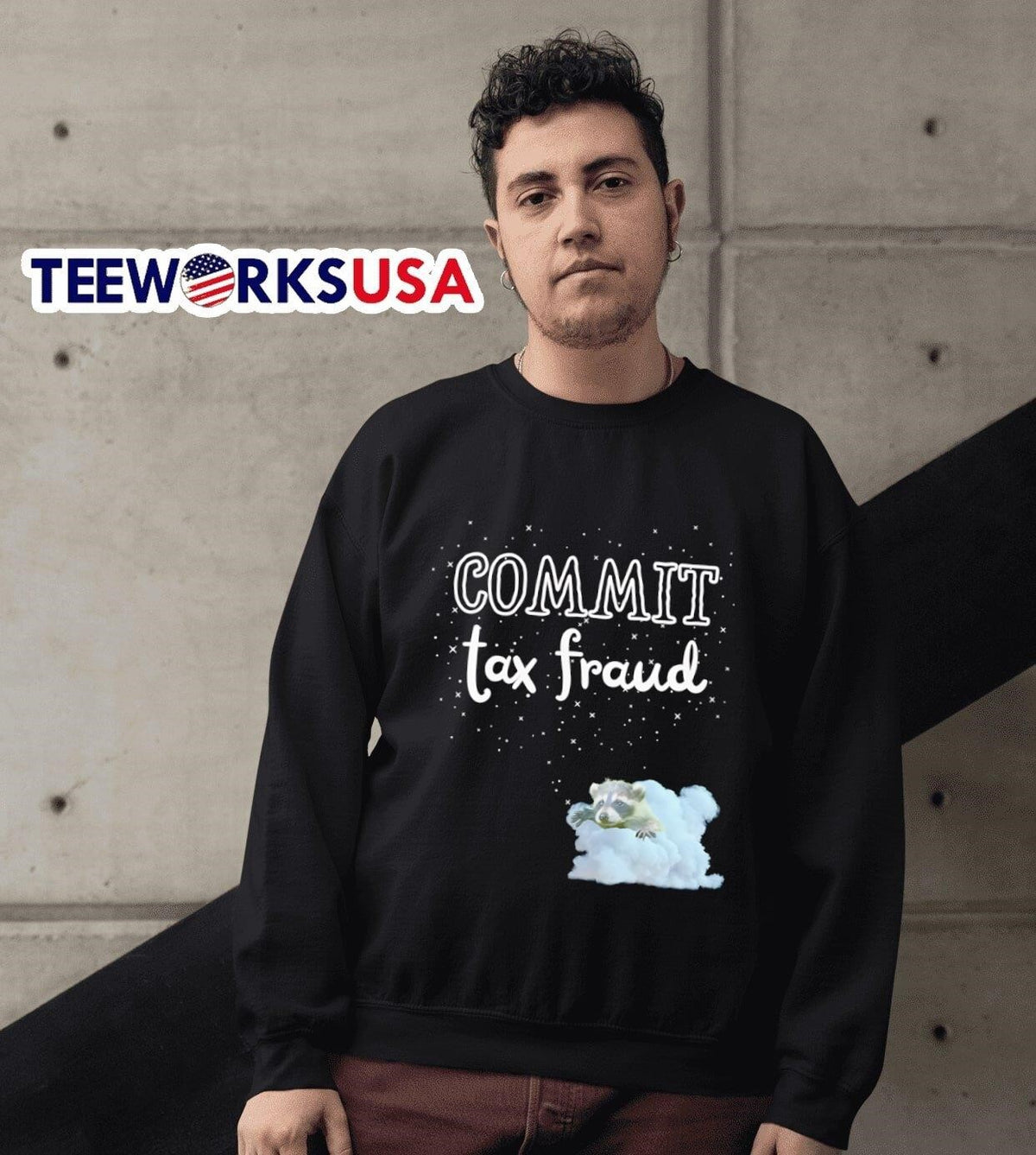 Commit Tax Fraud raccoon - Adult & Kids T-Shirts, Sweatshirts & Hoodies apparel design preview 6