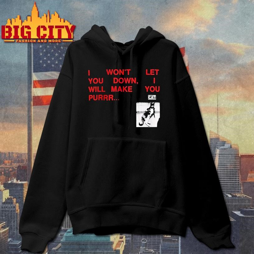Funny I Wont Let You Down Cat - Adult & Kids T-Shirts, Sweatshirts & Hoodies apparel design preview 2