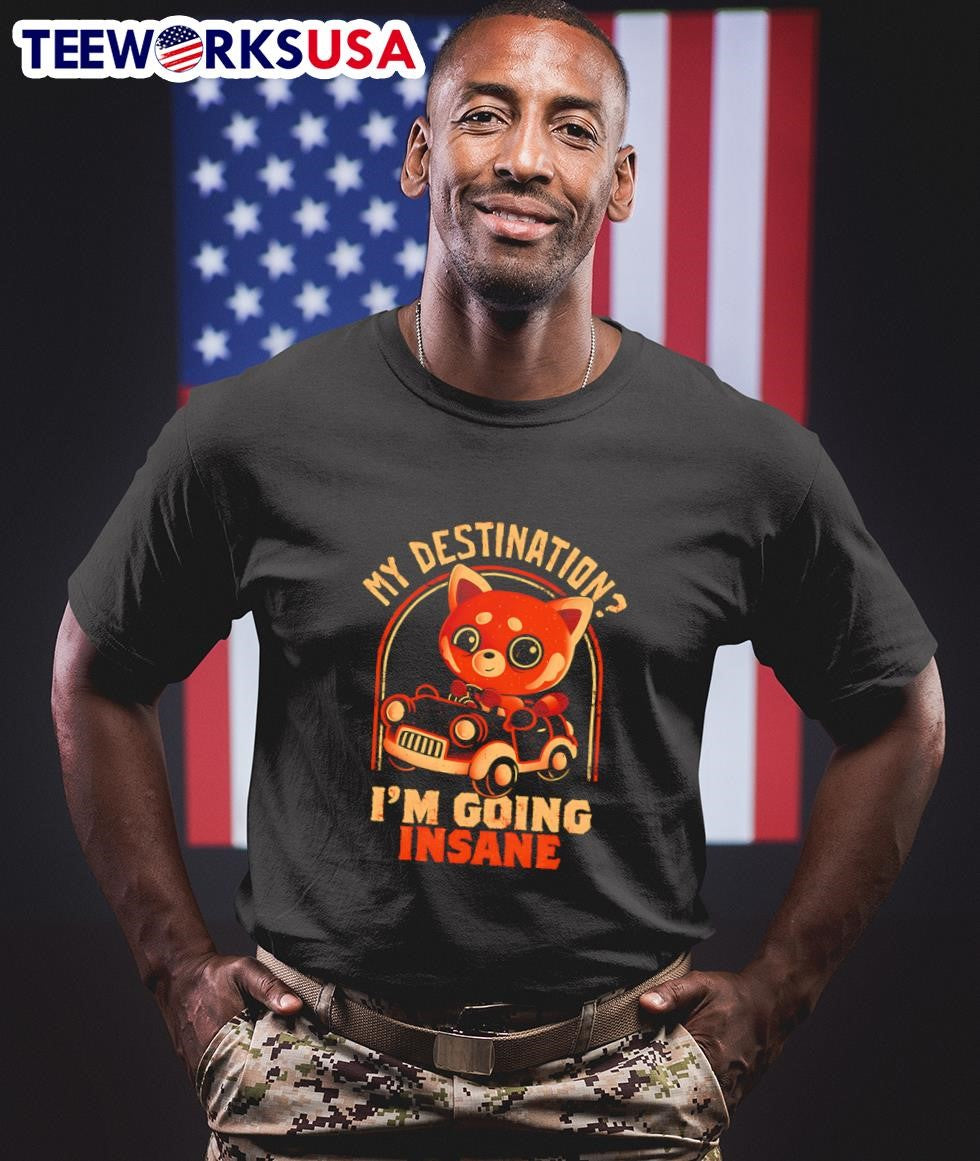 My destination I'm going insane - Adult & Kids T-Shirts, Sweatshirts & Hoodies apparel design preview 1