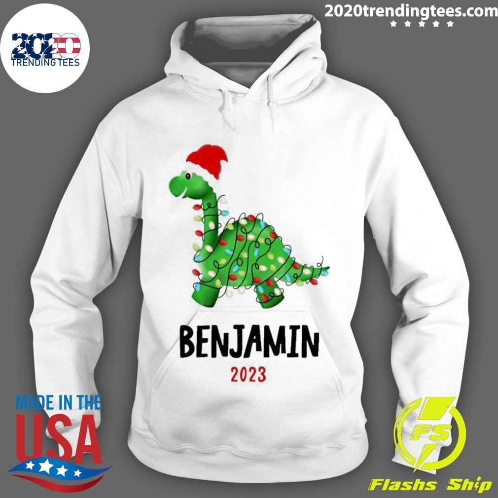 Premium Personalized Dinosaur Christmas Lights Custom - Adult & Kids T-Shirts, Sweatshirts & Hoodies apparel design preview 2