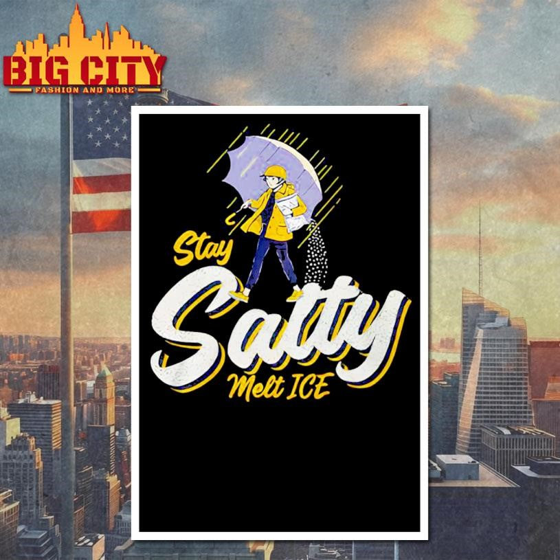 Stay Salty Melt ICE - Adult & Kids T-Shirts, Sweatshirts & Hoodies apparel design preview 4