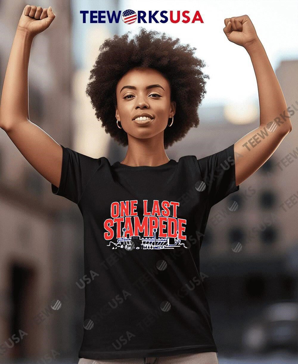 Buffalo Bills One Last Stampede - Adult & Kids T-Shirts, Sweatshirts & Hoodies apparel design preview 8