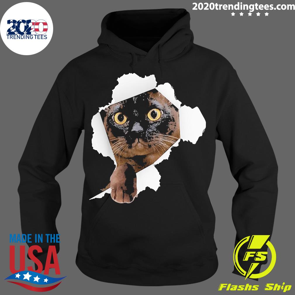 Burmese Cat Torn - Adult & Kids T-Shirts, Sweatshirts & Hoodies apparel design preview 2