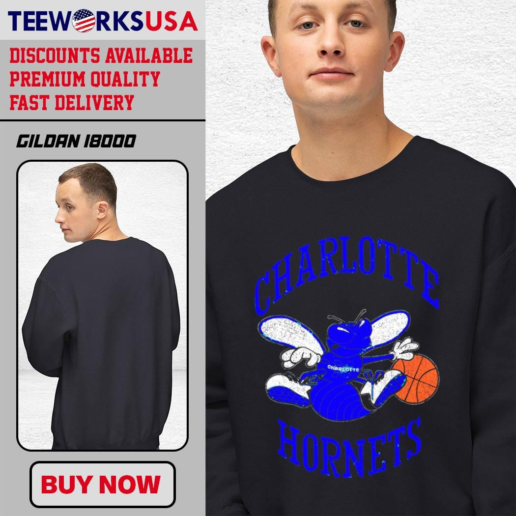 Charlotte Hornets Distressed Logo Basketball - Adult & Kids T-Shirts, Sweatshirts & Hoodies apparel design preview 3