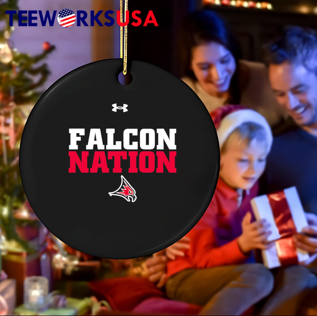 Falcon Nation Atlanta Falcons - Adult & Kids T-Shirts, Sweatshirts & Hoodies apparel design preview 4