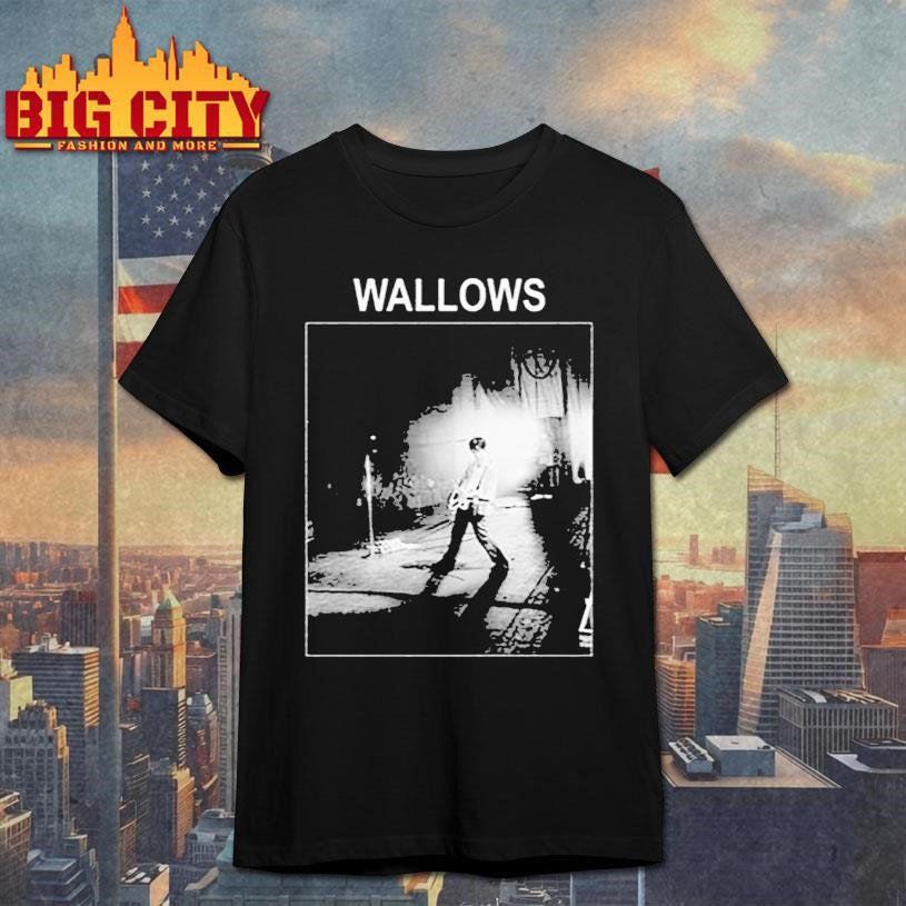 Wallows Dylan Photo - Adult & Kids T-Shirts, Sweatshirts & Hoodies apparel design preview 1