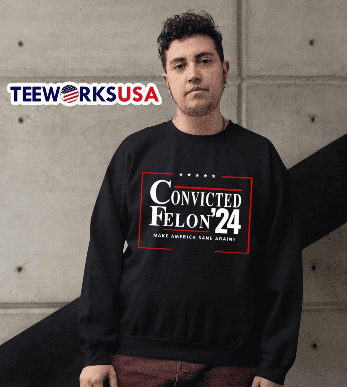 Convicted Felon 2024 make America sane again - Adult & Kids T-Shirts, Sweatshirts & Hoodies apparel design preview 3