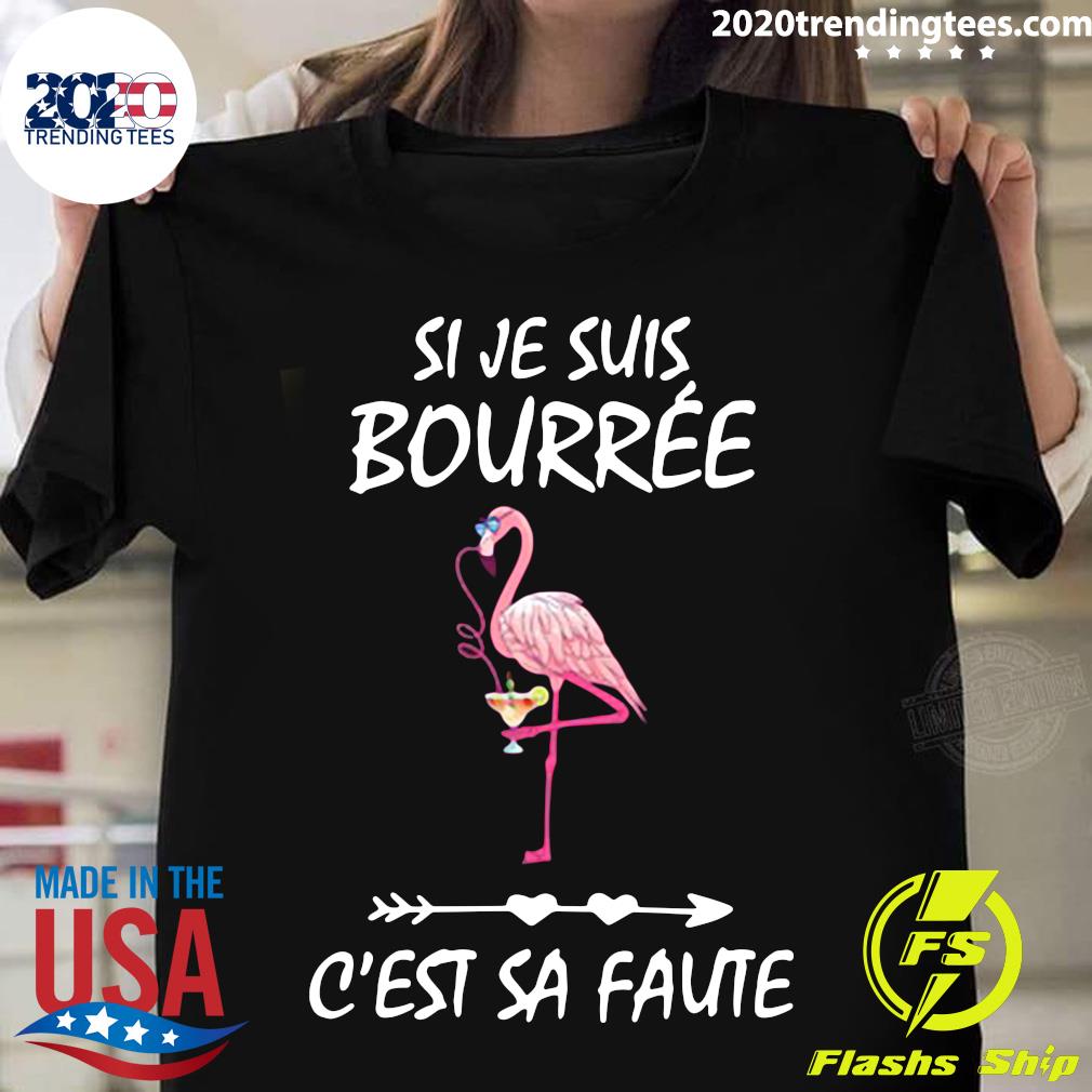 Flamant Si Je Suis Bourré C'est Sa Faute - Adult & Kids T-Shirts, Sweatshirts & Hoodies apparel design preview 1