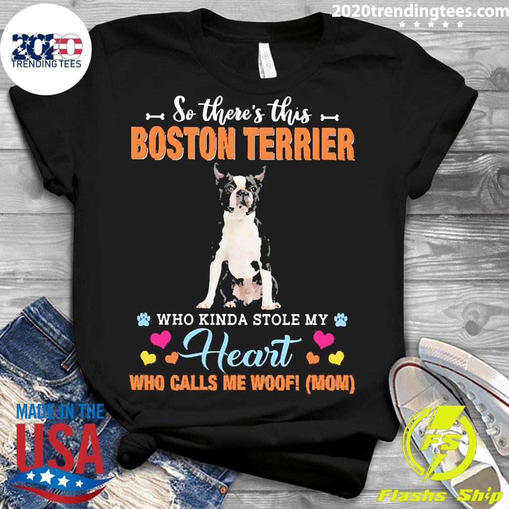 Official A Dog Kinda Stole My Heart So There's This - Adult & Kids T-Shirts, Sweatshirts & Hoodies apparel design preview 3