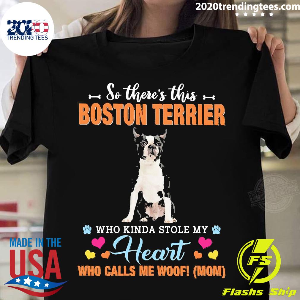 Official A Dog Kinda Stole My Heart So There's This - Adult & Kids T-Shirts, Sweatshirts & Hoodies apparel design preview 1