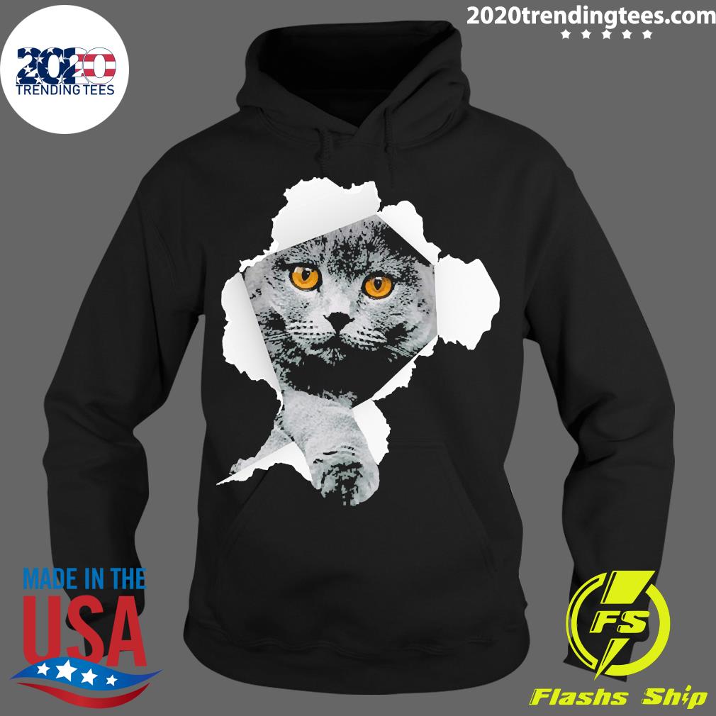 Scottish Fold Cats Torn - Adult & Kids T-Shirts, Sweatshirts & Hoodies apparel design preview 2