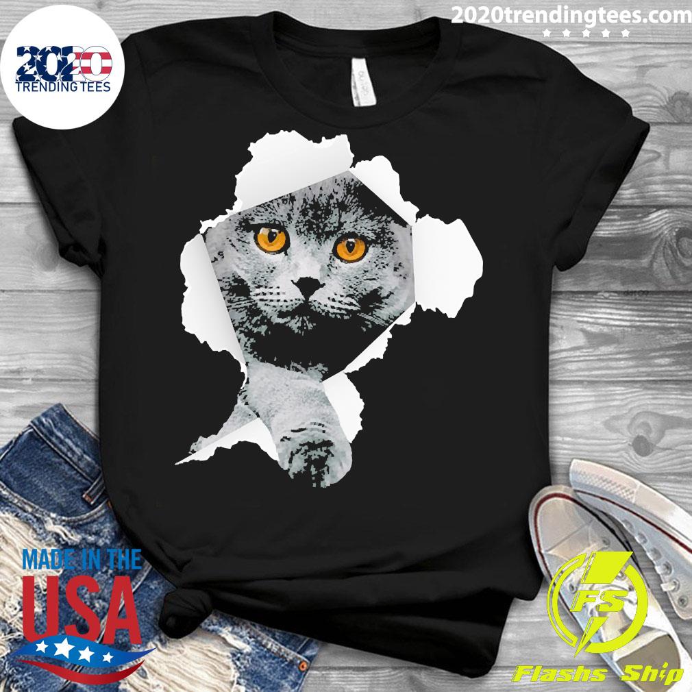Scottish Fold Cats Torn - Adult & Kids T-Shirts, Sweatshirts & Hoodies apparel design preview 3