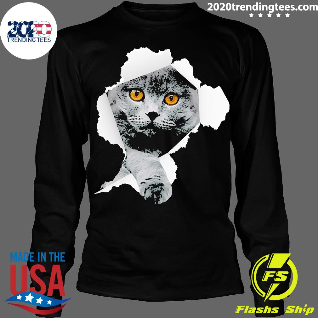 Scottish Fold Cats Torn - Adult & Kids T-Shirts, Sweatshirts & Hoodies apparel design preview 4