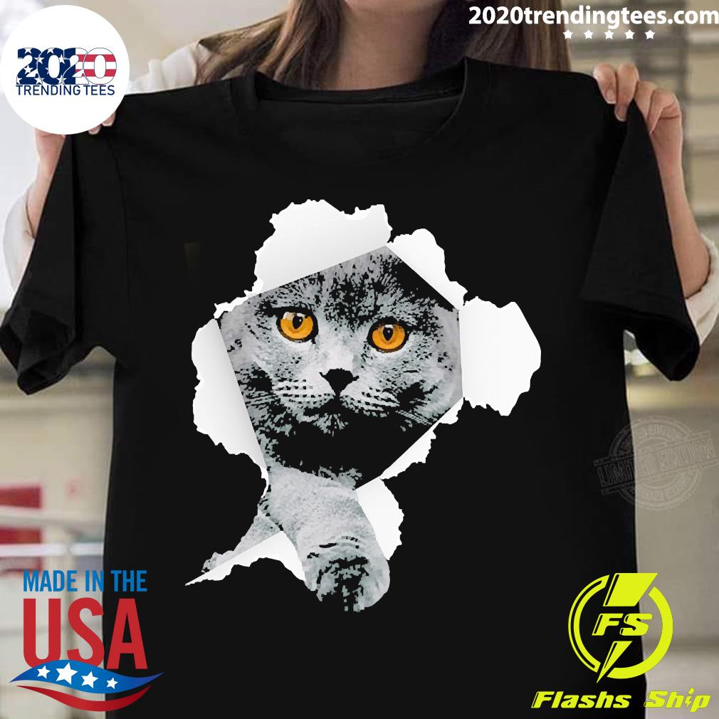 Scottish Fold Cats Torn - Adult & Kids T-Shirts, Sweatshirts & Hoodies apparel design preview 1