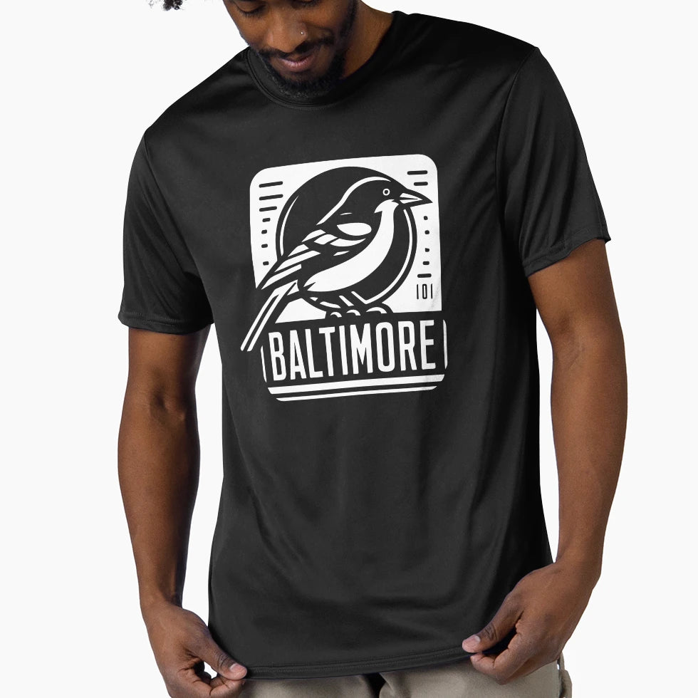 Baltimore T-Shirt - Graphic Print Unisex - T-Shirt, Sweatshirt, Hoodie