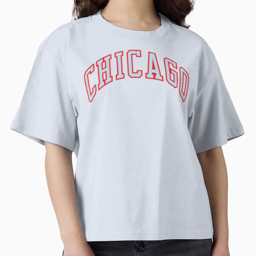 Chicago T-Shirt - Custom Art Print for Adults - T-Shirt, Sweatshirt, Hoodie