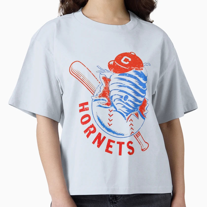 Hornets Baseball T-Shirt - Minimalist Print for Adults - T-Shirt, Sweatshirt, Hoodie