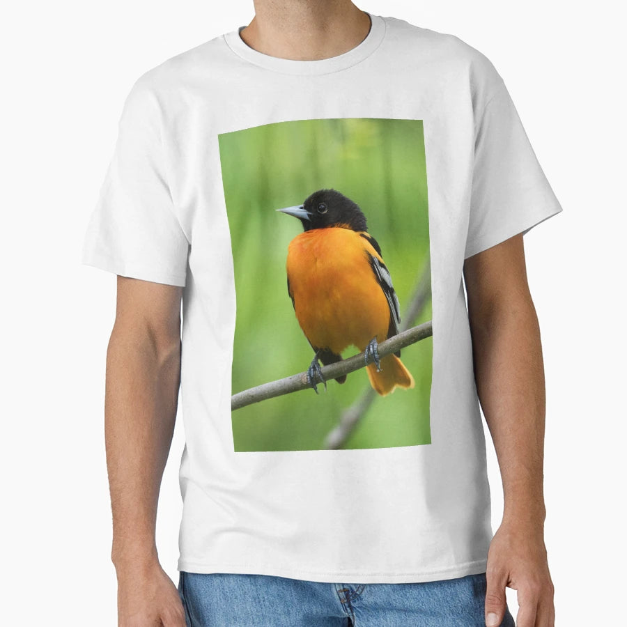 Baltimore Oriole T-Shirt - Novelty Apparel Men Women - T-Shirt, Sweatshirt, Hoodie