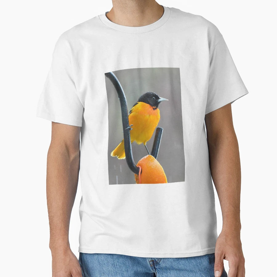 Male Oriole Light Rain T-Shirt - Trendy Graphic Men Women - T-Shirt, Sweatshirt, Hoodie