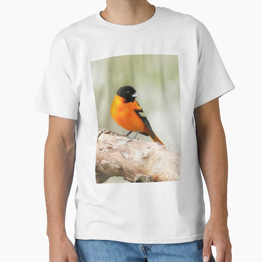 Baltimore Oriole Portrait T-Shirt - Custom Art Print Unisex - T-Shirt, Sweatshirt, Hoodie