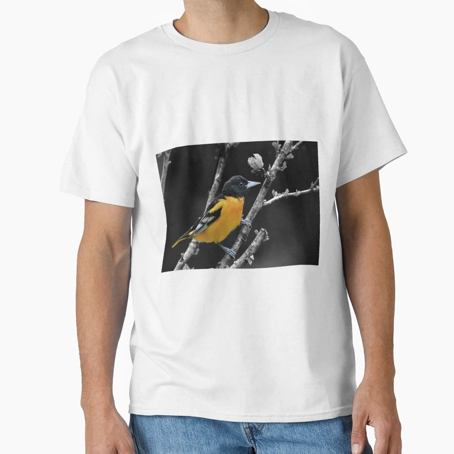 Baltimore Oriole T-Shirt - Minimalist Print Unisex - T-Shirt, Sweatshirt, Hoodie
