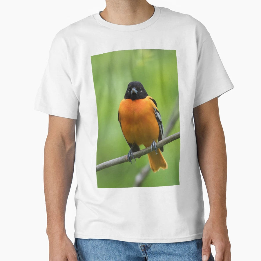 Baltimore Oriole T-Shirt - Custom Art Print for Adults - T-Shirt, Sweatshirt, Hoodie