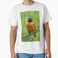 Baltimore Oriole T-Shirt - Custom Art Print for Adults - T-Shirt, Sweatshirt, Hoodie