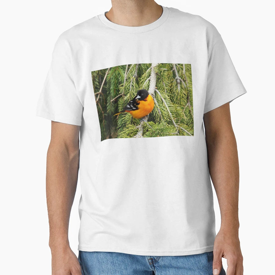 Perched Baltimore Oriole T-Shirt - Minimalist Print Unisex - T-Shirt, Sweatshirt, Hoodie