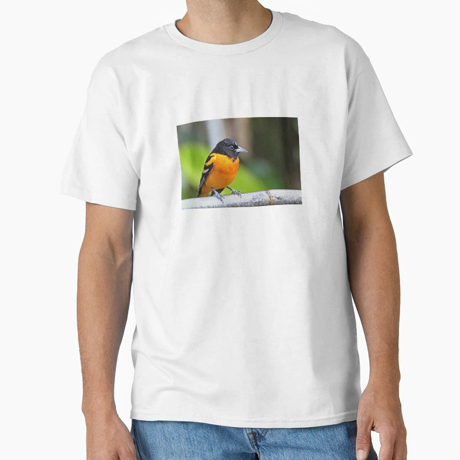 Baltimore Oriole T-Shirt - Fun Novelty Design Men Women - T-Shirt, Sweatshirt, Hoodie