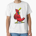 Art St Louis Cardinals T-Shirt - Aesthetic Graphic for Adults - T-Shirt, Sweatshirt, Hoodie
