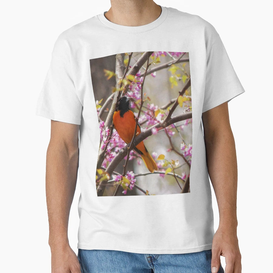 Baltimore Oriole T-Shirt - Novelty Apparel for Adults - T-Shirt, Sweatshirt, Hoodie