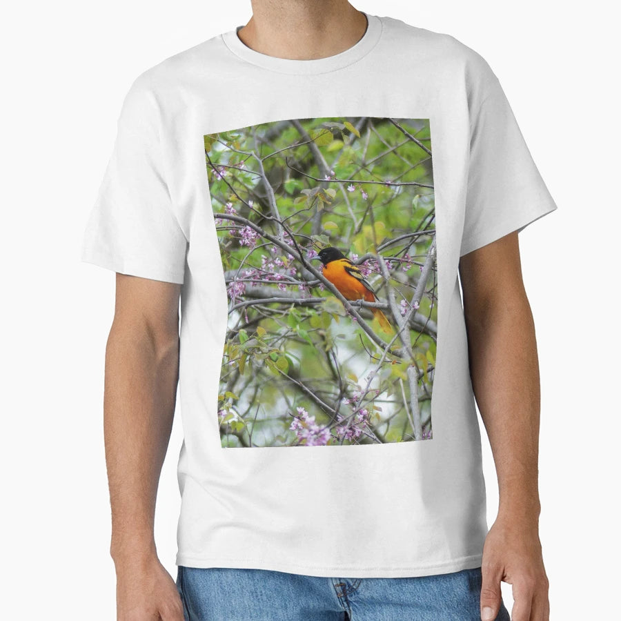 Baltimore Oriole T-Shirt - Graphic Print for Adults - T-Shirt, Sweatshirt, Hoodie