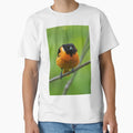 Baltimore Oriole T-Shirt - Streetwear Style for Adults - T-Shirt, Sweatshirt, Hoodie