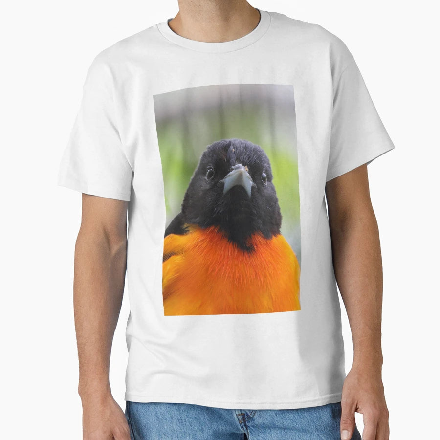 Baltimore Oriole T-Shirt - Custom Art Print for Adults - T-Shirt, Sweatshirt, Hoodie