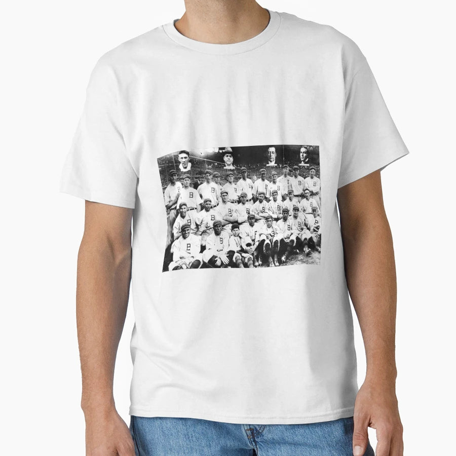1914 Boston Braves Season T-Shirt - Novelty Apparel for Adults - T-Shirt, Sweatshirt, Hoodie