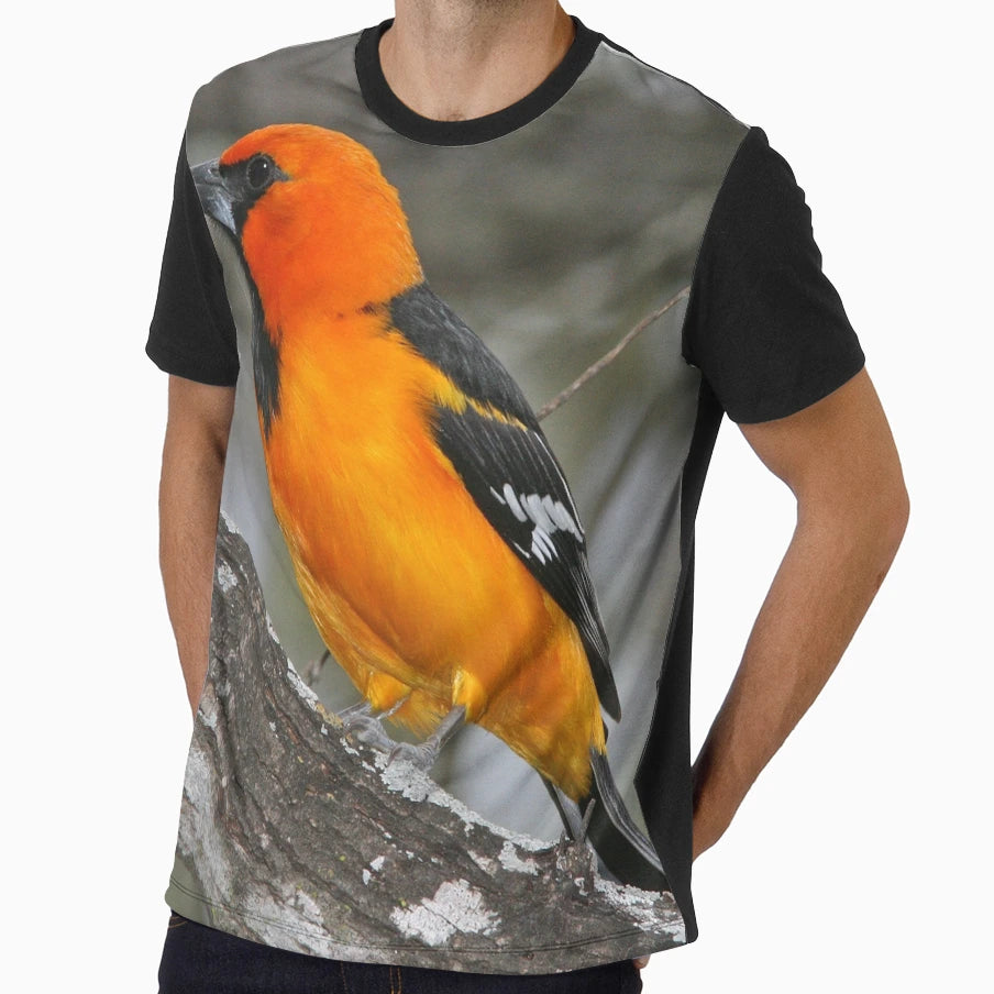 Baltimore Oriole Bird T-Shirt - Graphic Print Men Women - T-Shirt, Sweatshirt, Hoodie