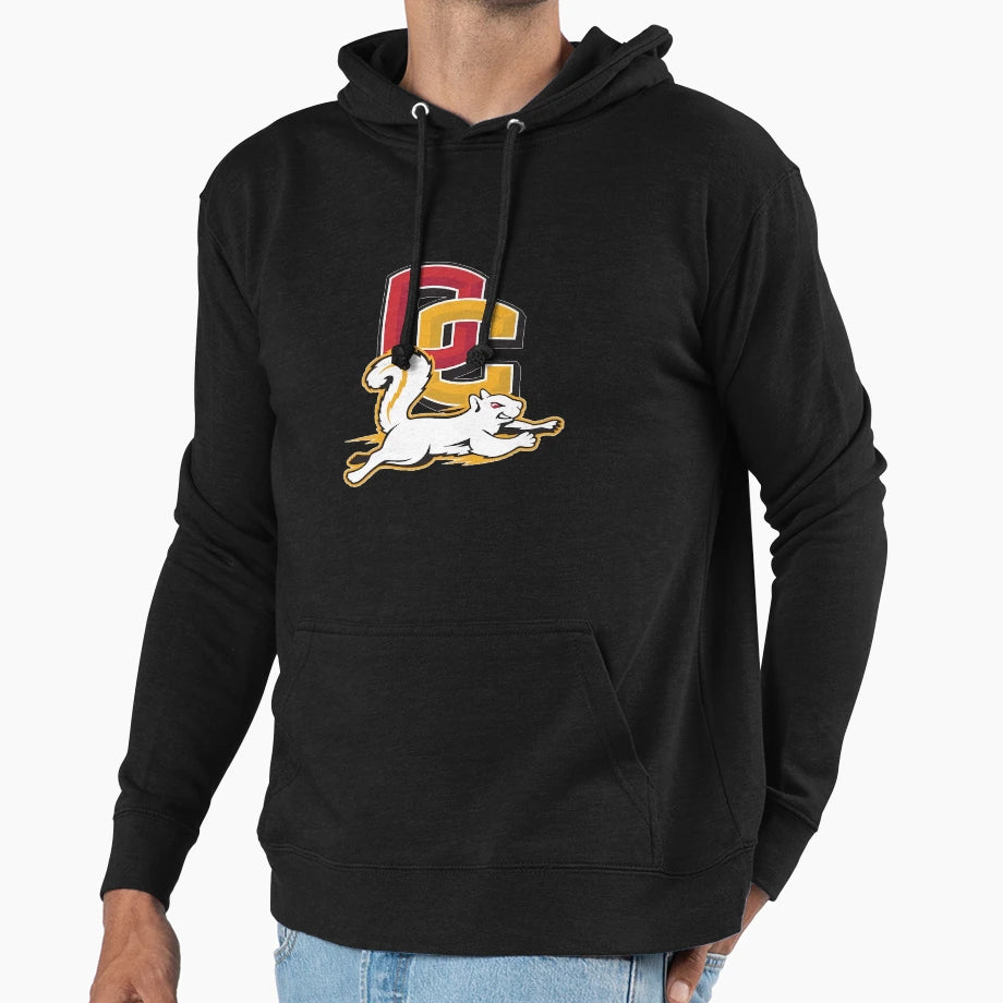 Oberlin College Hoodie - Aesthetic Graphic Unisex - T-Shirt, Sweatshirt, Hoodie